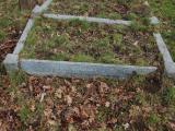 image of grave number 336044